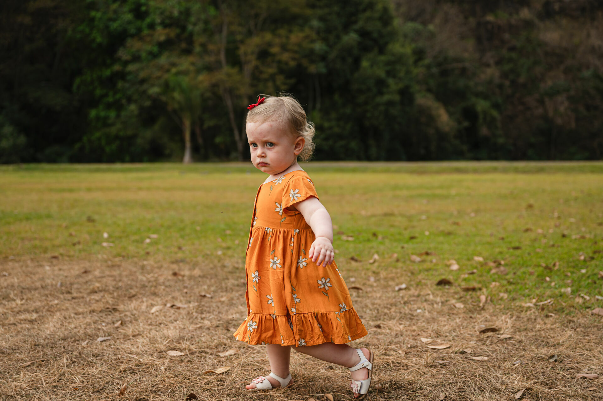 Foto ensaio familia parque curupira ribeirao preto ana mauricio e sara Foto ensaio familia parque curupira ribeirao preto ana mauricio e sara - Imagem 5
