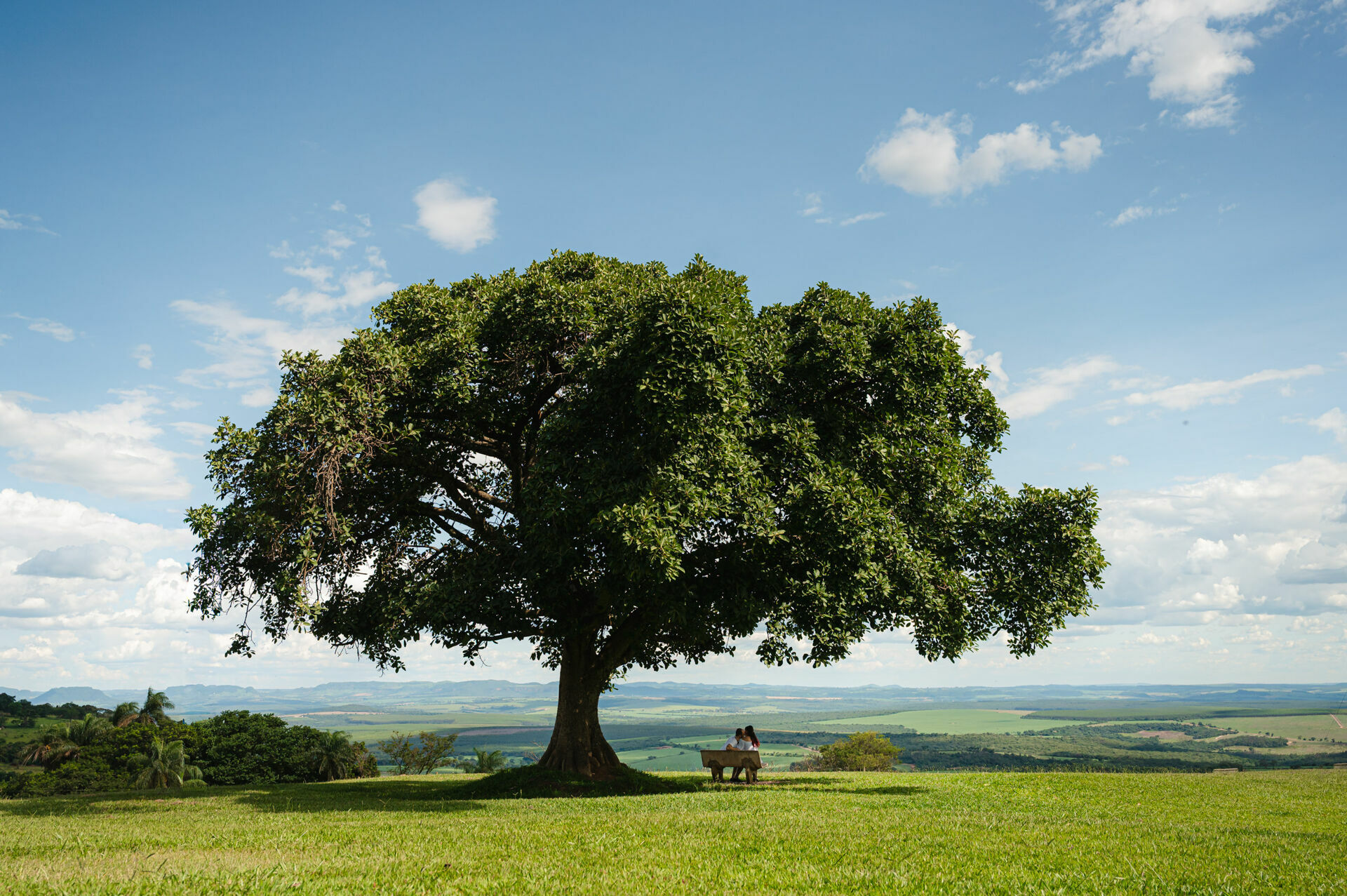 Foto ensaio pre wedding altinopolis sp leticia duane Foto ensaio pre wedding altinopolis sp leticia duane - Imagem 5