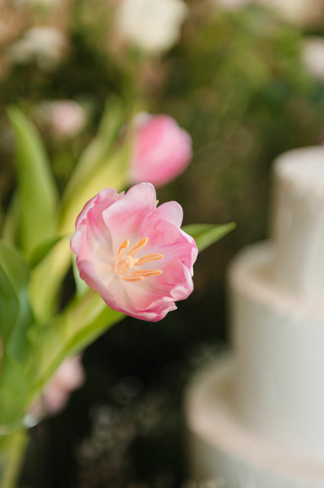 Foto mini casamento no villa da mata brodowski sp stephanie matheus Foto mini casamento no villa da mata brodowski sp stephanie matheus - Imagem 15