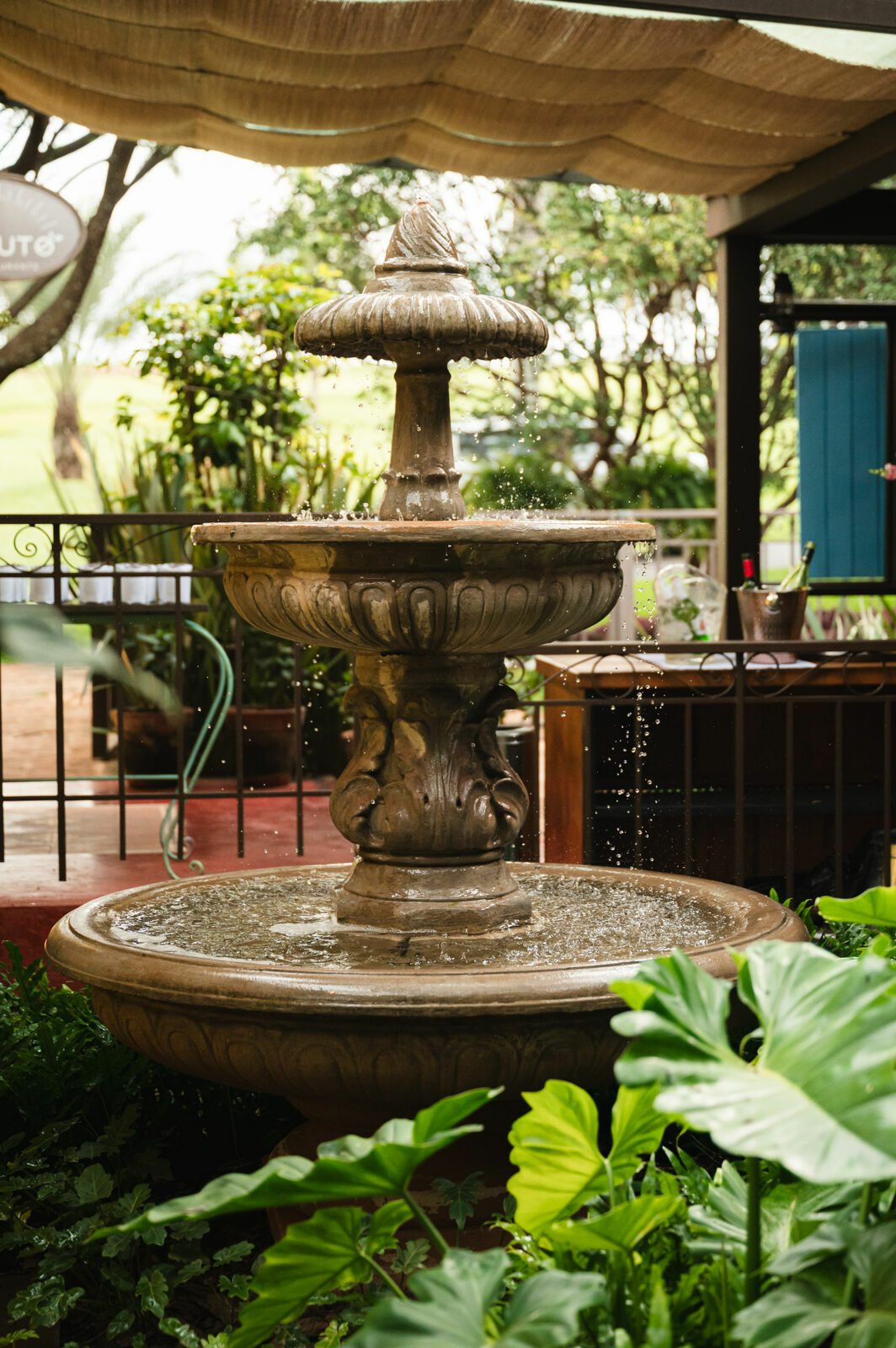 Foto mini wedding restaurante matuto cravinhos paloma joao - Imagem 15